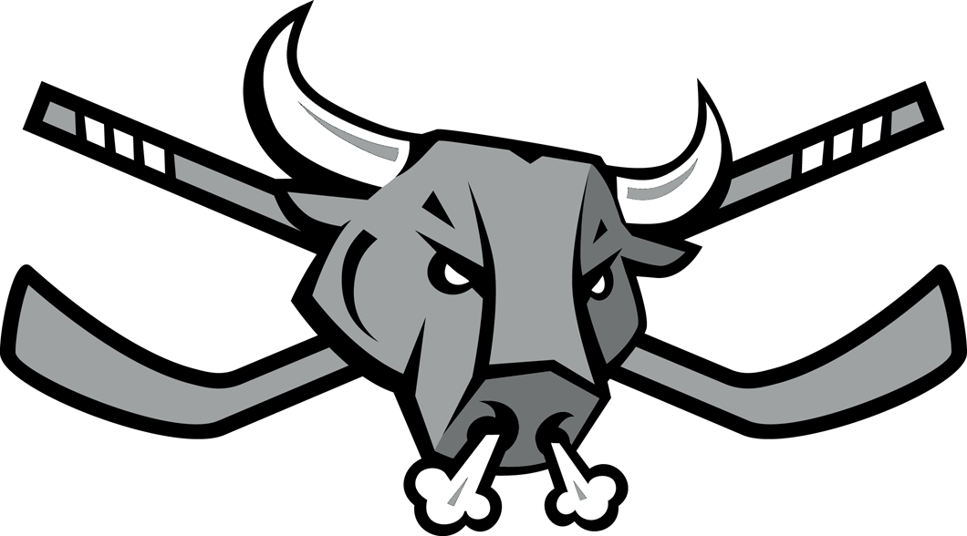 San Antonio Rampage 2007 08-Pres Secondary Logo decal supplier